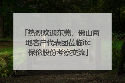 热烈欢迎东莞、佛山两地客户代表团莅临itc保伦股份考察交流