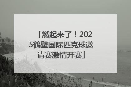 燃起来了！2025鹤壁国际匹克球邀请赛激情开赛