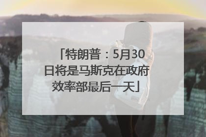 特朗普：5月30日将是马斯克在政府效率部最后一天