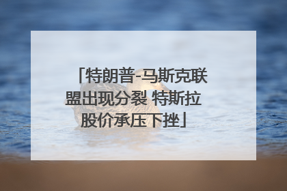 特朗普-马斯克联盟出现分裂 特斯拉股价承压下挫