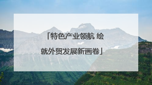 特色产业领航 绘就外贸发展新画卷