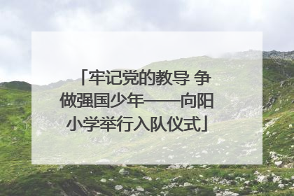 牢记党的教导 争做强国少年——向阳小学举行入队仪式