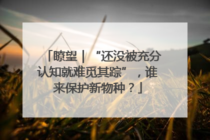 瞭望｜“还没被充分认知就难觅其踪”，谁来保护新物种？