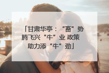 甘肃华亭：“畜”势腾飞兴“牛”业 政策助力添“牛”劲