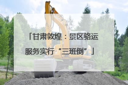 甘肃敦煌：景区骆运服务实行“三班倒”