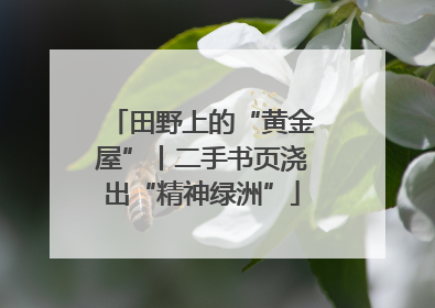 田野上的“黄金屋”丨二手书页浇出“精神绿洲”
