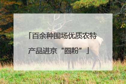 百余种围场优质农特产品进京“圈粉”