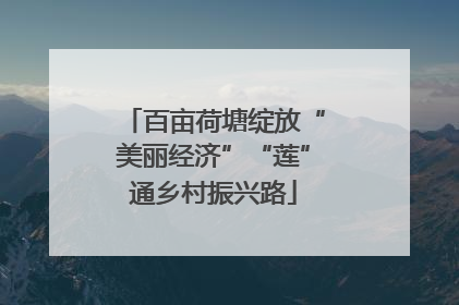 百亩荷塘绽放“美丽经济”“莲”通乡村振兴路
