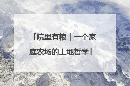 皖里有粮｜一个家庭农场的土地哲学