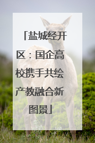 盐城经开区：国企高校携手共绘产教融合新图景