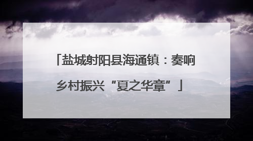 盐城射阳县海通镇：奏响乡村振兴“夏之华章”