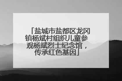 盐城市盐都区龙冈镇杨斌村组织儿童参观杨斌烈士纪念馆，传承红色基因