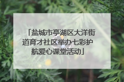 盐城市亭湖区大洋街道育才社区举办七彩护航爱心课堂活动