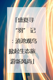 盛夏寻 “羽” 记：滇池观鸟掀起生态旅游新风尚