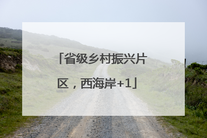 省级乡村振兴片区，西海岸+1