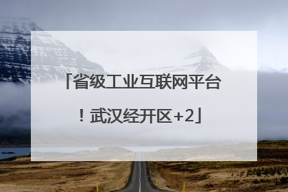 省级工业互联网平台！武汉经开区+2