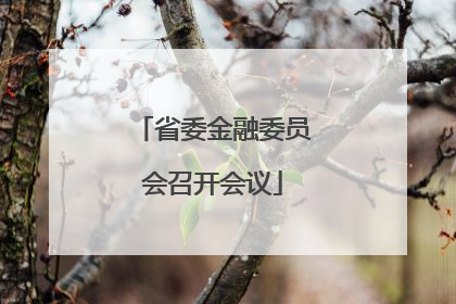 省委金融委员会召开会议