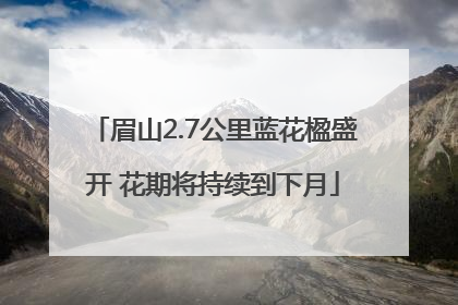 眉山2.7公里蓝花楹盛开 花期将持续到下月