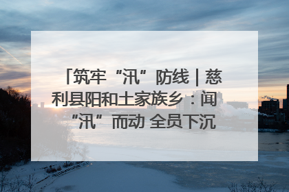 筑牢“汛”防线｜慈利县阳和土家族乡：闻“汛”而动 全员下沉筑牢防汛“安全堤”