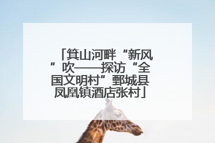 箕山河畔“新风”吹——探访“全国文明村”鄄城县凤凰镇酒店张村