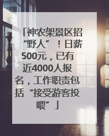 神农架景区招“野人”！日薪500元，已有近4000人报名，工作职责包括“接受游客投喂”