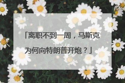 离职不到一周，马斯克为何向特朗普开炮？