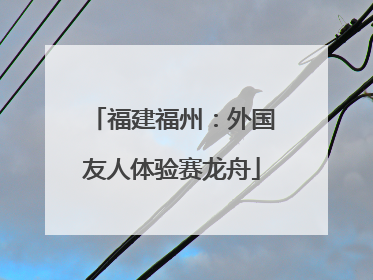 福建福州：外国友人体验赛龙舟