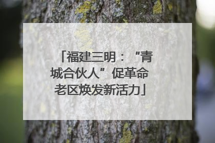 福建三明：“青城合伙人”促革命老区焕发新活力