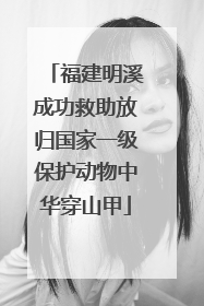 福建明溪成功救助放归国家一级保护动物中华穿山甲