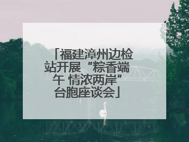 福建漳州边检站开展“粽香端午 情浓两岸”台胞座谈会