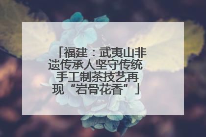 福建：武夷山非遗传承人坚守传统 手工制茶技艺再现“岩骨花香”
