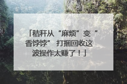 秸秆从“麻烦”变“香饽饽” 打捆回收这波操作太赚了！