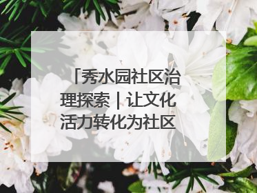 秀水园社区治理探索｜让文化活力转化为社区治理动力