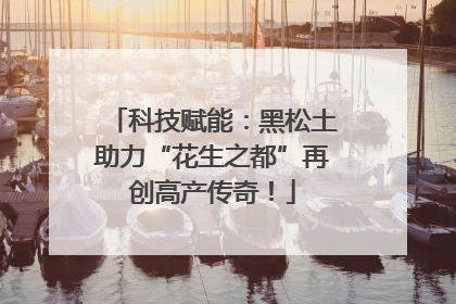 科技赋能：黑松土助力“花生之都”再创高产传奇！