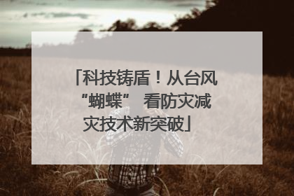 科技铸盾！从台风“蝴蝶” 看防灾减灾技术新突破