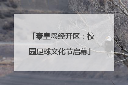 秦皇岛经开区：校园足球文化节启幕