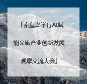 秦皇岛举行AI赋能文旅产业创新发展观摩交流大会