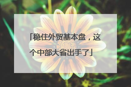 稳住外贸基本盘，这个中部大省出手了