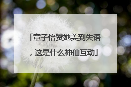 章子怡赞她美到失语，这是什么神仙互动