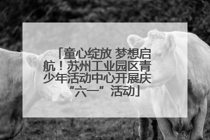 童心绽放 梦想启航！苏州工业园区青少年活动中心开展庆“六一”活动