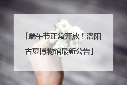 端午节正常开放！洛阳古墓博物馆最新公告