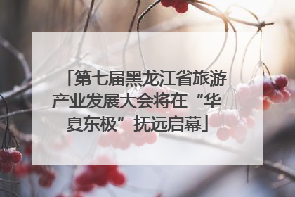 第七届黑龙江省旅游产业发展大会将在“华夏东极”抚远启幕