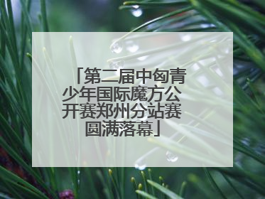 第二届中匈青少年国际魔方公开赛郑州分站赛圆满落幕