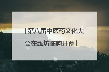 第八届中医药文化大会在潍坊临朐开幕