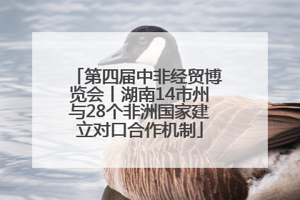 第四届中非经贸博览会丨湖南14市州与28个非洲国家建立对口合作机制