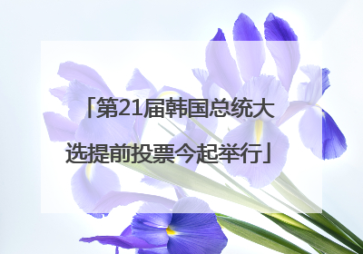 第21届韩国总统大选提前投票今起举行