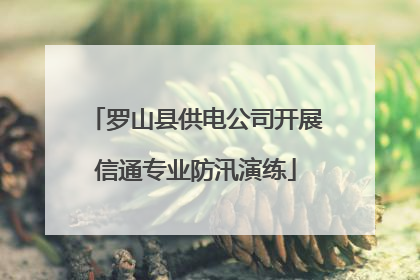 罗山县供电公司开展信通专业防汛演练