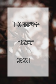 美丽西宁 “绿意”浓浓
