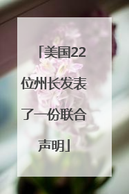 美国22位州长发表了一份联合声明