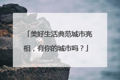 美好生活典范城市亮相，有你的城市吗？